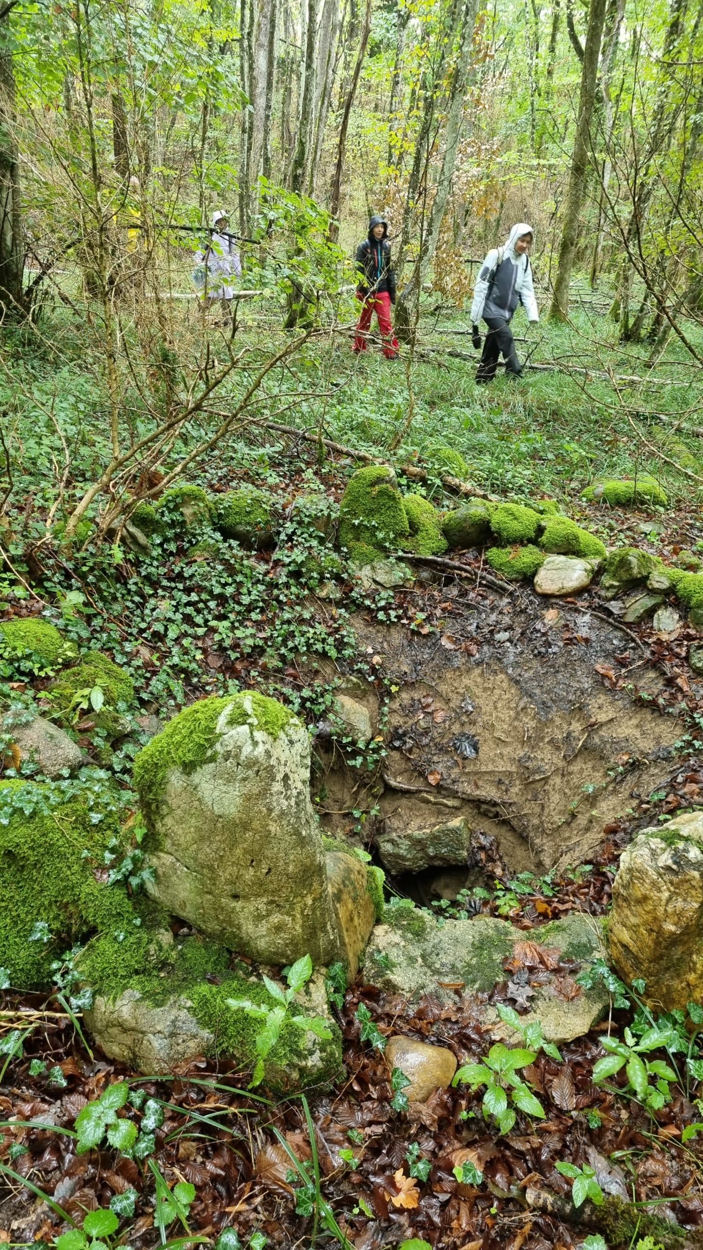 Photo 25