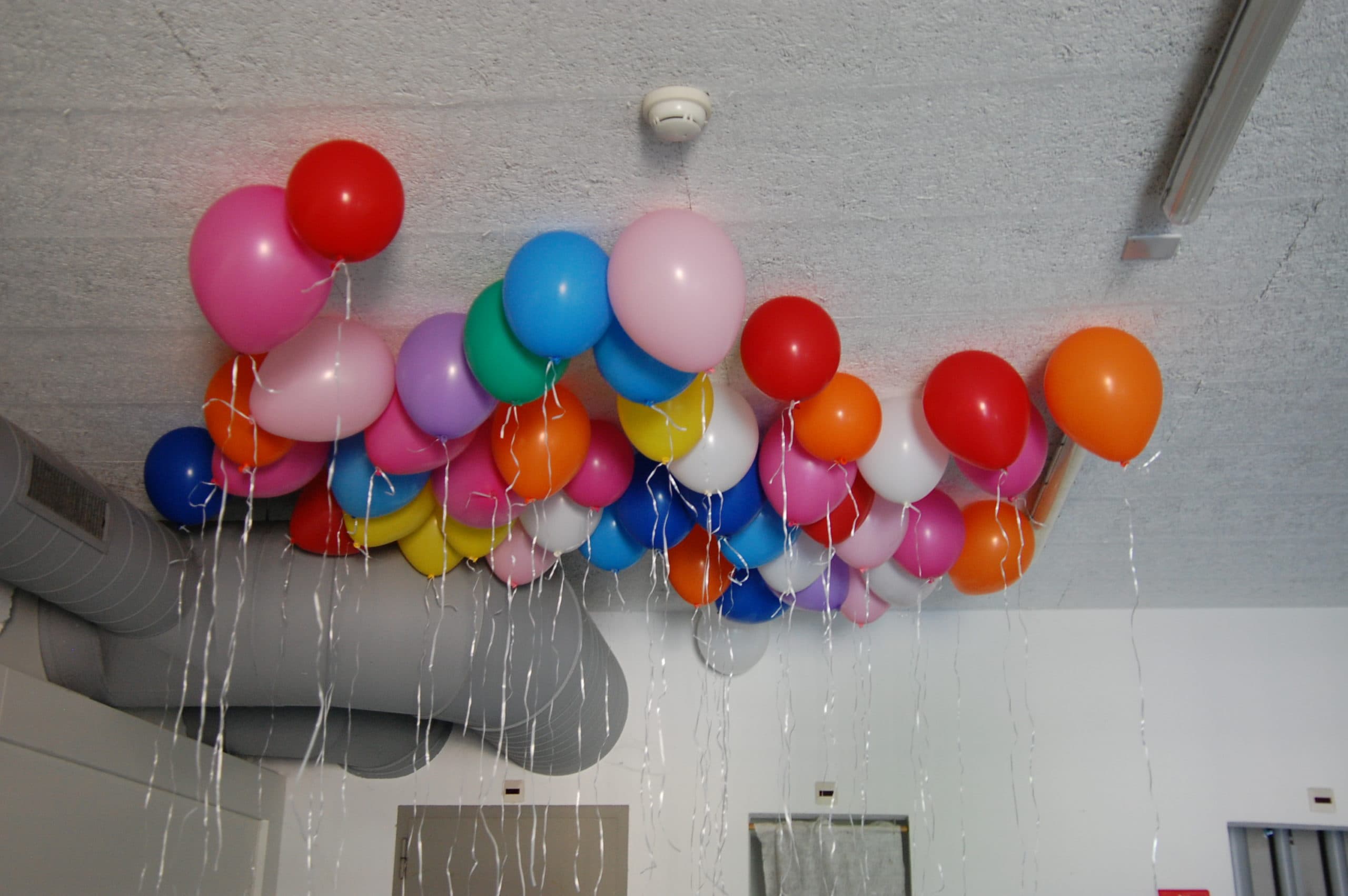 Photo 32